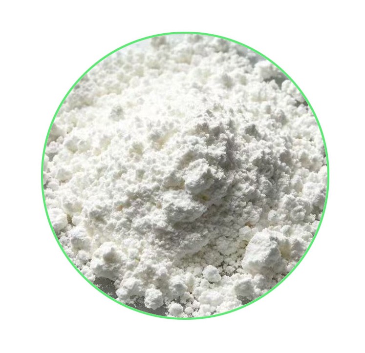 PVPP-1